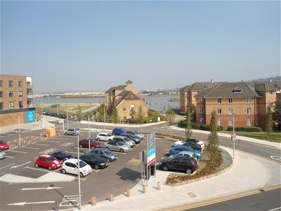 Picture 8